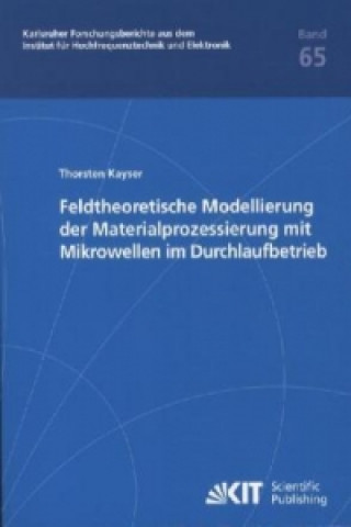 Kniha Feldtheoretische Modellierung der Materialprozessierung mit Mikrowellen im Durchlaufbetrieb Thorsten Kayser