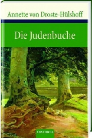 Книга Die Judenbuche Annette von Droste-Hülshoff