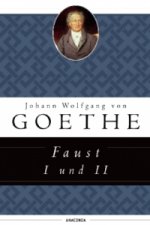 Книга Faust I und II Johann Wolfgang Goethe