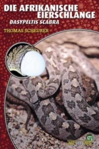 Carte Die Afrikanische Eierschlange Thomas Scheurer