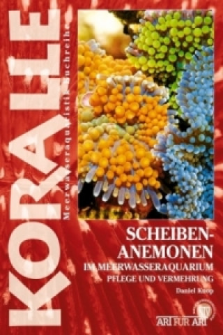 Kniha Scheibenanemonen im Meerwasseraquarium Daniel Knop
