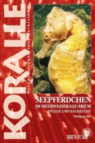 Книга Seepferdchen im Meerwasseraquarium Wolfgang Mai
