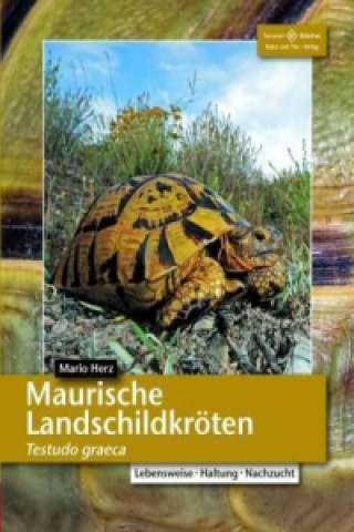 Książka Maurische Landschildkröten Mario Herz