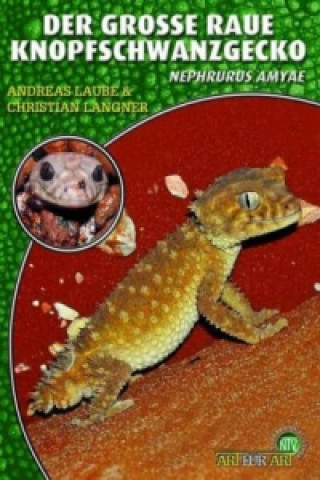 Książka Der Große Raue Knopfschwanzgecko Andreas Laube