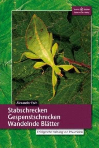 Kniha Stabschrecken, Gespenstschrecken, Wandelnde Blätter Alexander Esch
