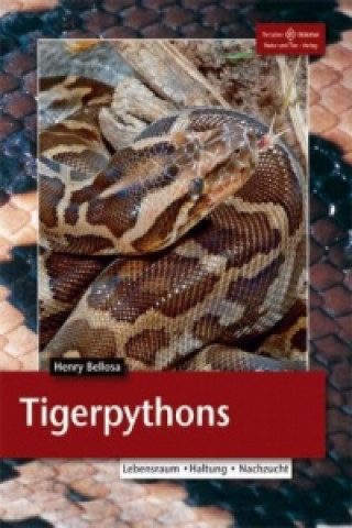 Kniha Tigerpythons Henry Bellosa