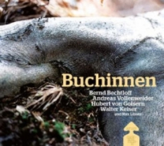 Kniha Buchinnen, m. 1 Audio-CD u. 1 DVD Hubert von Goisern