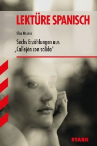 Kniha Sechs Erzählungen aus "Callejón con salida" Elsa Osorio