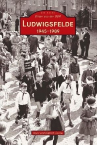 Kniha Ludwigsfelde 1945 bis 1989 Horst Carow