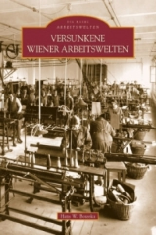 Kniha Versunkene Wiener Arbeitswelten Hans W. Bousska