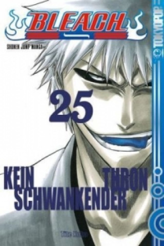 Könyv Bleach - No shaking throne - Kein schwankender Thron Tite Kubo