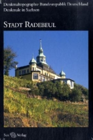 Kniha Stadt Radebeul Landesamt für Denkmalpflege Sachsen