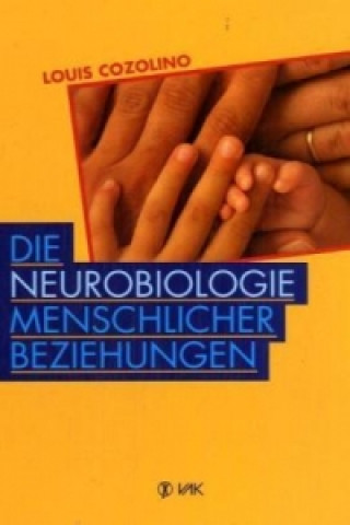 Könyv Die Neurobiologie menschlicher Beziehungen Louis Cozolino