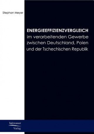 Könyv Energieeffizienzvergleich im verarbeitenden Gewerbe in Deutschland, Polen und Tschechien Stefan Meyer