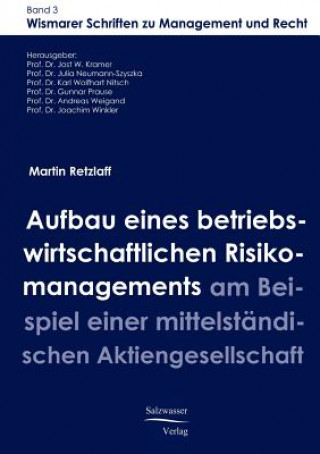 Kniha Aufbau eines betriebswirtschaftlichen Risikomanagements am Beispiel einer mittelstandischen Aktiengesellschaft Martin Retzlaff