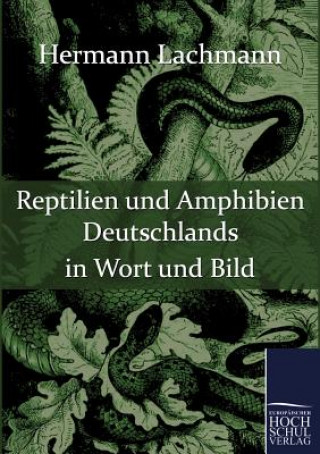 Carte Reptilien und Amphibien Deutschlands in Wort und Bild Hermann Lachmann