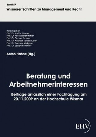 Könyv Beratung und Arbeitnehmerinteressen Anton Hahne