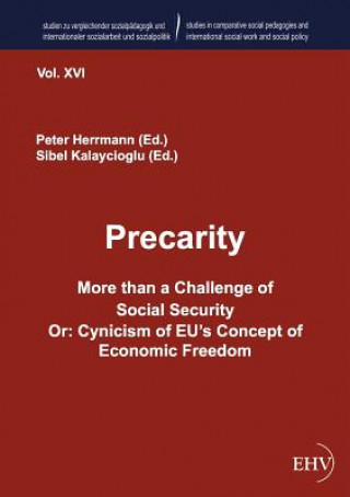 Knjiga Precarity - More than a Challenge of Social Security Or Peter Herrmann