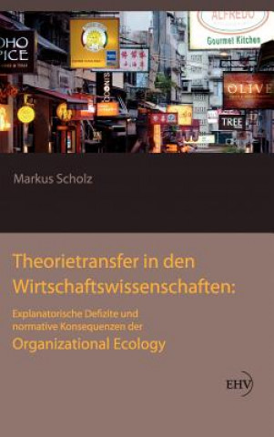 Könyv Theorietransfer in den Wirtschaftswissenschaften Markus Scholz