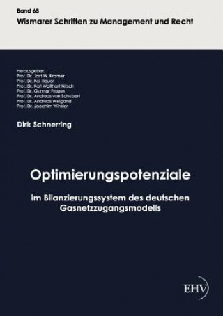Könyv Optimierungspotenziale im Bilanzierungssystem des deutschen Gasnetzzugangsmodells Dirk Schnerring