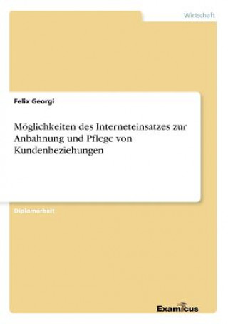 Książka Moeglichkeiten des Interneteinsatzes zur Anbahnung und Pflege von Kundenbeziehungen Felix Georgi