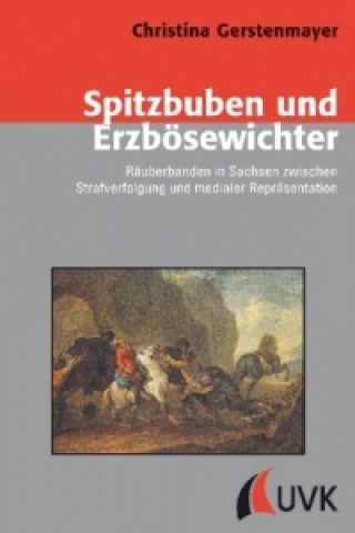 Könyv Spitzbuben und Erzbösewichter Christina Gerstenmayer