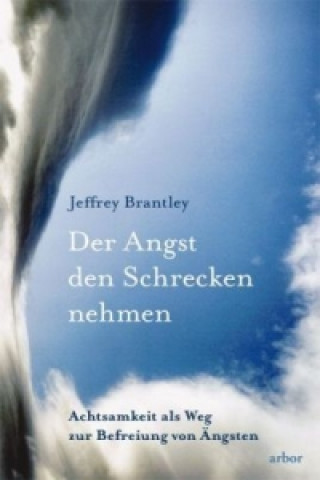 Kniha Der Angst den Schrecken nehmen Jeffrey Brantley
