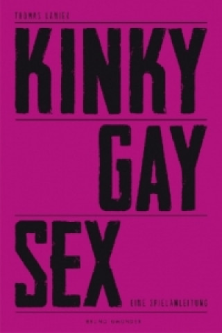 Könyv Kinky Gay Sex Thomas Lanier