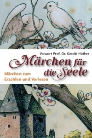 Kniha Märchen für die Seele Heinrich Dickerhoff