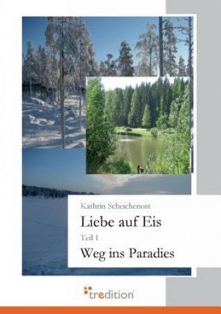 Buch Liebe Auf Eis Kathrin Scheichenost