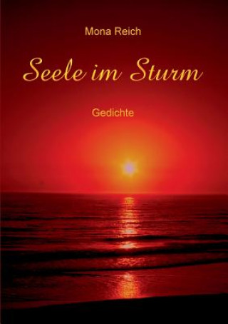 Libro Seele Im Sturm Mona Reich