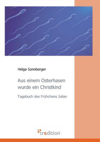 Book Aus Einem Osterhasen Wurde Ein Christkind Helga Sonnberger