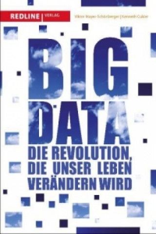 Kniha Big Data Viktor Mayer-Schönberger