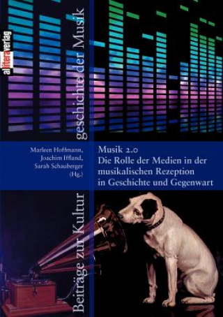 Kniha Musik 2.0 Marleen Hoffmann