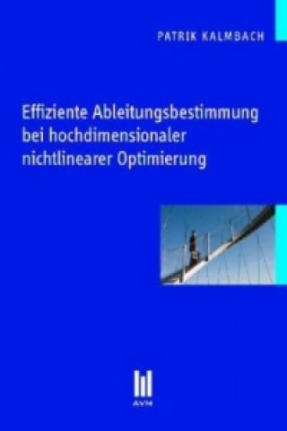 Книга Effiziente Ableitungsbestimmung bei hochdimensionaler nichtlinearer Optimierung Patrik Kalmbach