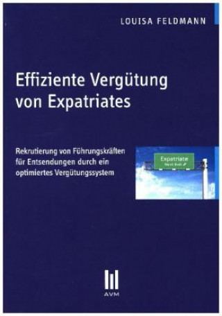 Kniha Effiziente Vergütung von Expatriates Louisa Feldmann