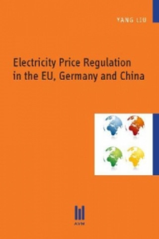 Kniha Electricity Price Regulation in the EU, Germany and China Yang Liu