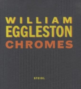 Kniha Chromes William Eggleston