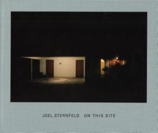 Kniha Joel Sternfeld Joel Sternfeld