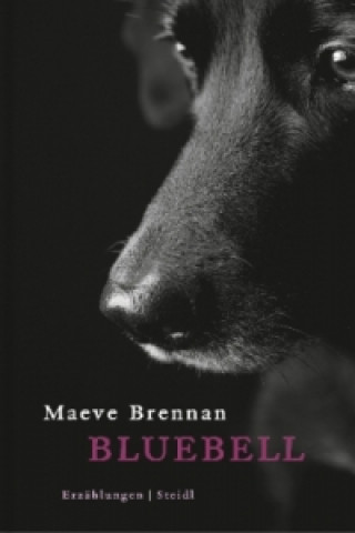 Kniha Bluebell Maeve Brennan