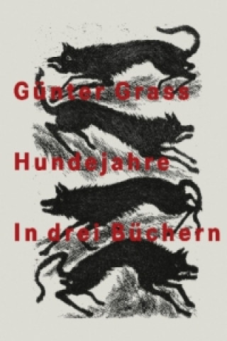 Książka Hundejahre, 3 Teile Günter Grass