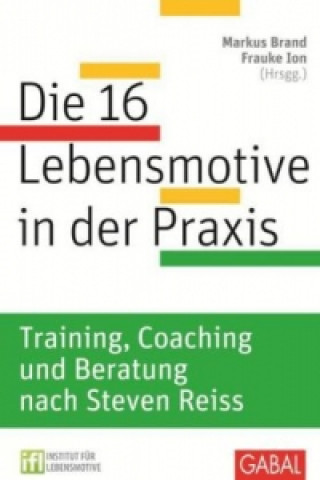 Kniha Die 16 Lebensmotive in der Praxis Markus Brand