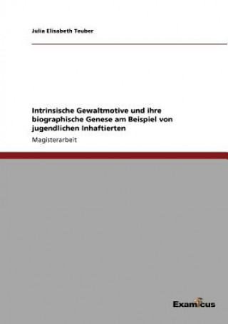 Carte Intrinsische Gewaltmotive und ihre biographische Genese am Beispiel von jugendlichen Inhaftierten Julia Elisabeth Teuber