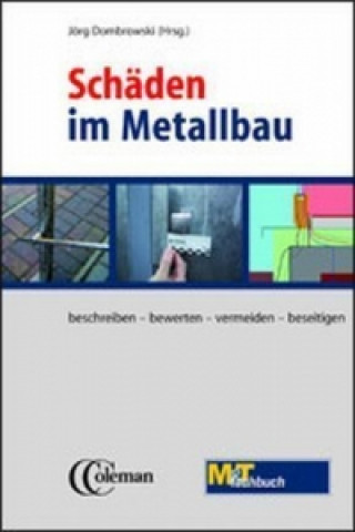 Kniha Schäden im Metallbau. Bd.1 Jörg Dombrowski