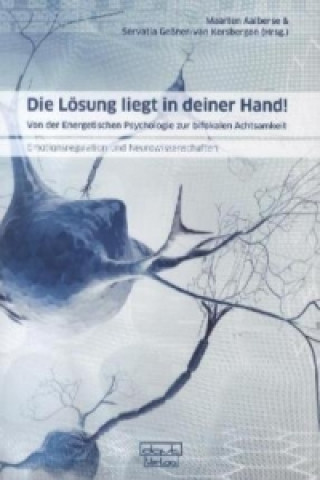 Buch Die Lösung liegt in deiner Hand! Maarten Aalberse