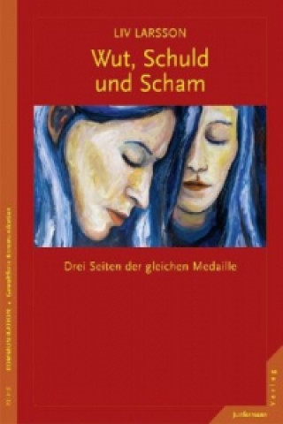 Könyv Wut, Schuld & Scham Liv Larsson
