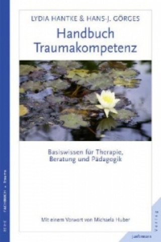 Kniha Handbuch Traumakompetenz Lydia Hantke