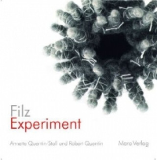 Kniha FilzExperiment Annette Quentin-Stoll