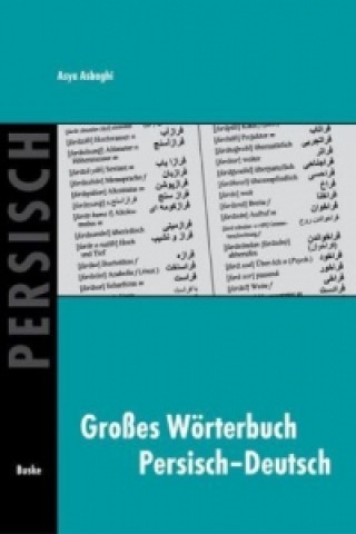 Kniha Großes Wörterbuch Persisch-Deutsch Asya Asbaghi