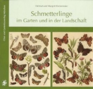 Kniha Schmetterlinge im Garten und in der Landschaft Helmut Hintermeier